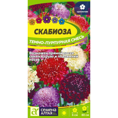 Цветы Скабиоза Темно-Пурпурная смесь/Агрофирма 'Семена Алтая'/семена упакованы в цветном пакете 0,2 гр.