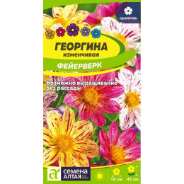 Цветы Георгина Фейерверк/Агрофирма 'Семена Алтая'/семена упакованы в цветном пакете 0,2 гр.