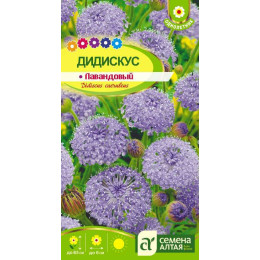 Цветы Дидискус лавандовый/Агрофирма 'Семена Алтая'/семена упакованы в цветном пакете 0,2 гр.