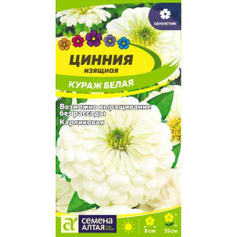 Цветы Цинния Кураж Белая карликовая/Агрофирма 'Семена Алтая'/семена упакованы в цветном пакете 0,3 гр.