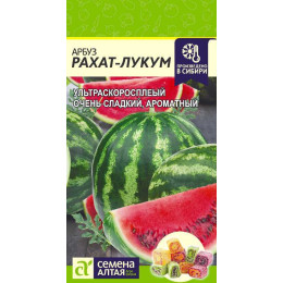 Арбуз Рахат-Лукум/Агрофирма 'Семена Алтая'/семена упакованы в цветном пакете 0,5 гр.