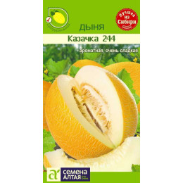 Дыня Казачка 244/Агрофирма 'Семена Алтая'/семена упакованы в цветном пакете 0,5 гр.