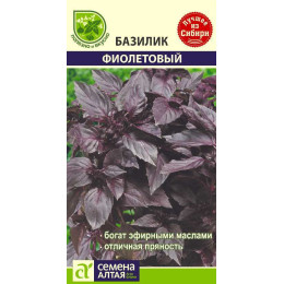 Зелень Базилик Фиолетовый /Агрофирма 'Семена Алтая'/семена упакованы в белом пакете 0,5 гр.