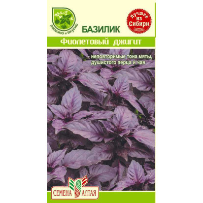 Зелень Базилик Фиолетовый Джигит/Агрофирма 'Семена Алтая'/семена упакованы в цветном пакете 0,5 гр.