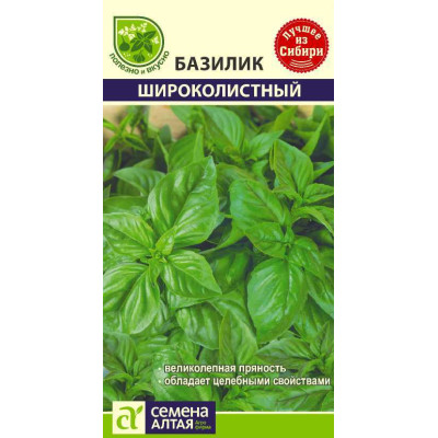 Зелень Базилик Широколистный/Агрофирма 'Семена Алтая'/семена упакованы в цветном пакете 0,5 гр.