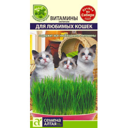 Зеленые Витамины для любимых Кошек/Агрофирма 'Семена Алтая'/семена упакованы в цветном пакете 10 гр.