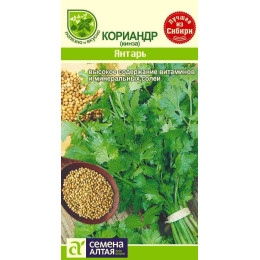 Зелень Кориандр Янтарь/Агрофирма 'Семена Алтая'/семена упакованы в цветном пакете 2 гр.