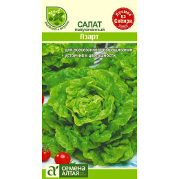 Зелень Салат Азарт/Агрофирма 'Семена Алтая'/семена упакованы в цветном пакете 1 гр.
