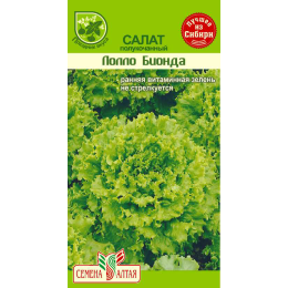 Зелень Салат Лолло Бионда/Агрофирма 'Семена Алтая'/семена упакованы в цветном пакете 0,5 гр.