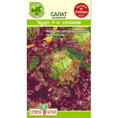 Зелень Салат Чудо 4 сезонов/Агрофирма 'Семена Алтая'/семена упакованы в цветном пакете 1 гр.