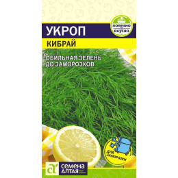 Зелень Укроп Кибрай/Агрофирма 'Семена Алтая'/семена упакованы в цветном пакете 2 гр.