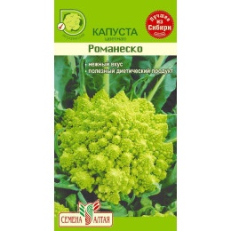Капуста Цветная Романеско/Агрофирма 'Семена Алтая'/семена упакованы в цветном пакете 0,3 гр.