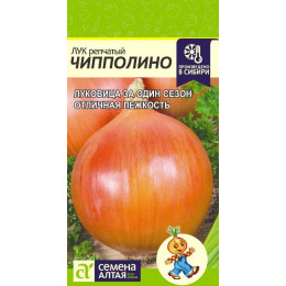Лук Чипполино/Агрофирма 'Семена Алтая'/семена упакованы в цветном пакете 1 гр.
