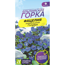 Цветы Фацелия Голубая колокольчатая/Агрофирма 'Семена Алтая'/семена упакованы в цветном пакете 0,3 гр. НОВИНКА Альпийская горка