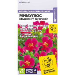 Цветы Мимулюс Мэджик F1 Бургунди/Агрофирма 'Семена Алтая'/семена упакованы в цветном пакете 10 шт.