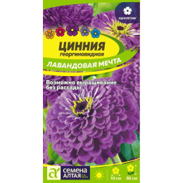 Цветы Цинния Лавандовая мечта изящная/Агрофирма 'Семена Алтая'/семена упакованы в цветном пакете 0,3 гр. НОВИНКА