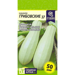 Кабачок Грибовские 37/Агрофирма 'Семена Алтая'/семена упакованы в цветном пакете 2 гр.
