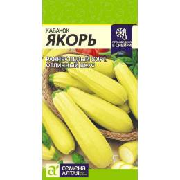 Кабачок Якорь/Агрофирма 'Семена Алтая'/семена упакованы в цветном пакете 2 гр.