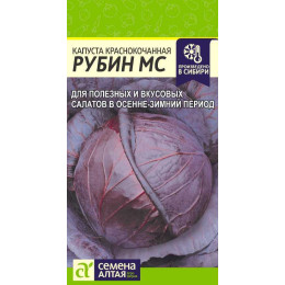 Капуста Краснокочанная Рубин МС/Агрофирма 'Семена Алтая'/семена упакованы в цветном пакете 0,3 гр.