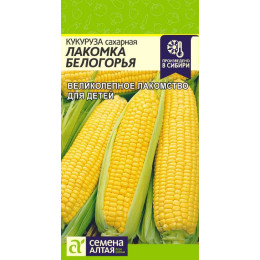 Кукуруза Лакомка Белогорья/Агрофирма 'Семена Алтая'/семена упакованы в цветном пакете 5 гр.