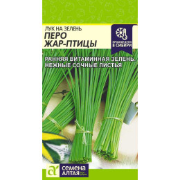 Лук на зелень Перо Жар-Птицы/Агрофирма 'Семена Алтая'/семена упакованы в цветном пакете 0,5 гр.