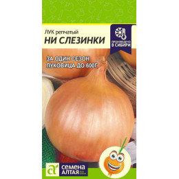 Лук Ни Слезинки/Агрофирма 'Семена Алтая'/семена упакованы в цветном пакете 0,2 гр.