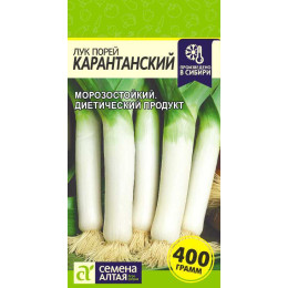 Лук Порей Карантанский/Агрофирма 'Семена Алтая'/семена упакованы в цветном пакете 1 гр.