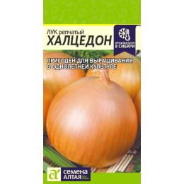 Лук Халцедон/Агрофирма 'Семена Алтая'/семена упакованы в цветном пакете 1 гр.