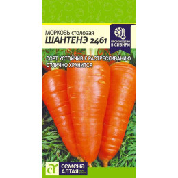 Морковь Шантенэ 2461/Агрофирма 'Семена Алтая'/семена упакованы в цветном пакете 2 гр.