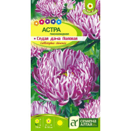 Цветы Астра Седая Дама Лиловая/Агрофирма 'Семена Алтая'/семена упакованы в цветном пакете 0,2 гр.