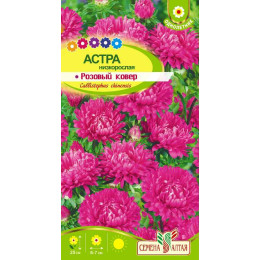 Цветы Астра Розовый ковер низкорослая/Агрофирма 'Семена Алтая'/семена упакованы в цветном пакете 0,3 гр.