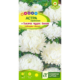 Цветы Астра Тысяча чудес белая карликовая/Агрофирма 'Семена Алтая'/семена упакованы в цветном пакете 0,2 гр.