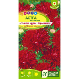 Цветы Астра Тысяча чудес карминная карликовая /Агрофирма 'Семена Алтая'/семена упакованы в цветном пакете 0,2 гр.