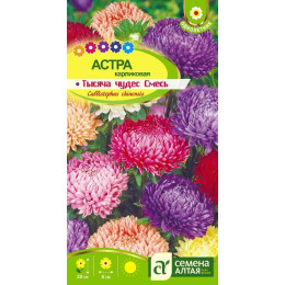 Цветы Астра Тысяча чудес смесь карликовая/Агрофирма 'Семена Алтая'/семена упакованы в цветном пакете 0,2 гр.