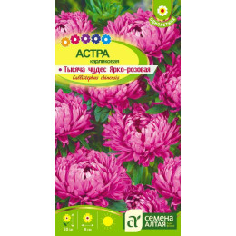 Цветы Астра Тысяча чудес ярко-розовая карликовая/Агрофирма 'Семена Алтая'/семена упакованы в цветном пакете 0,2 гр.
