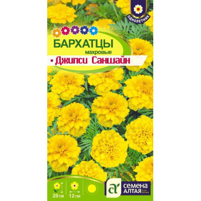 Цветы Бархатцы Джипси Саншайн махровые/Агрофирма 'Семена Алтая'/семена упакованы в цветном пакете 0,3 гр.