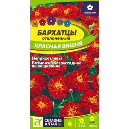 Цветы Бархатцы Красная Вишня/Агрофирма 'Семена Алтая'/семена упакованы в цветном пакете 0,2 гр.