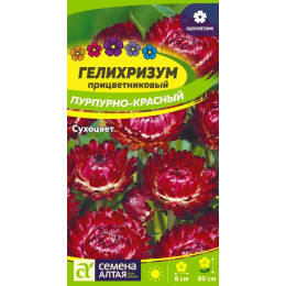 Цветы Гелихризум Пурпурно-красный/Агрофирма 'Семена Алтая'/семена упакованы в цветном пакете 0,2 гр.