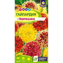Цветы Гайлардия Лоренциана/Агрофирма 'Семена Алтая'/семена упакованы в цветном пакете 0,2 гр.