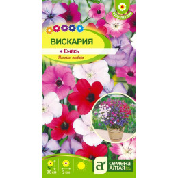 Цветы Вискария смесь/Агрофирма 'Семена Алтая'/семена упакованы в цветном пакете 0,1 гр.