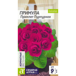Цветы Примула Примлет Пурпурная/Агрофирма 'Семена Алтая'/семена упакованы в цветном пакете 5шт.