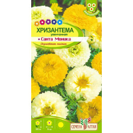Цветы Хризантема Санта Моника увенчанная/Агрофирма 'Семена Алтая'/семена упакованы в цветном пакете 0,3 гр. многолетник