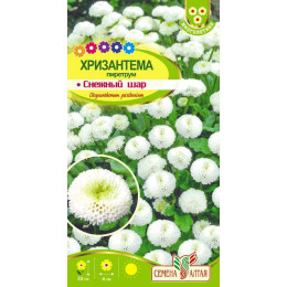 Цветы Хризантема Снежный шар пиретрум/Агрофирма 'Семена Алтая'/семена упакованы в цветном пакете 0,01 гр.