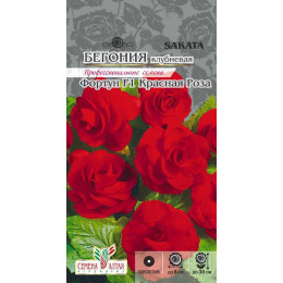 Цветы Бегония Фортун Красная роза клубневая/Агрофирма 'Семена Алтая'/семена упакованы в цветном пакете 5 шт.