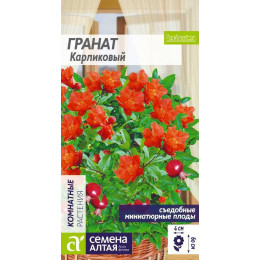 Цветы Гранат Карликовый/Агрофирма 'Семена Алтая'/семена упакованы в цветном пакете 5 шт.