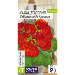 Цветы Кальцеолярия Красная гибридная/Агрофирма 'Семена Алтая'/семена упакованы в цветном пакете 5 шт.