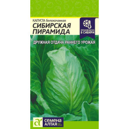 Капуста Сибирская Пирамида/Агрофирма 'Семена Алтая'/семена упакованы в цветном пакете 0,5 гр.