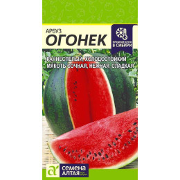 Арбуз Огонек/Агрофирма 'Семена Алтая'/семена упакованы в цветном пакете 1 гр.