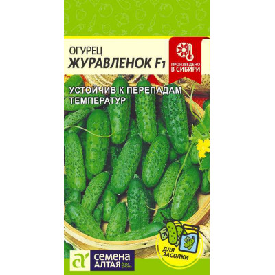Огурец Журавленок F1/Агрофирма 'Семена Алтая'/семена упакованы в цветном пакете 0,3 гр.