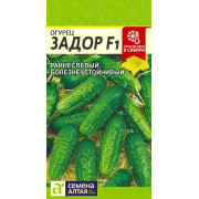 Огурец Задор F1/Агрофирма 'Семена Алтая'/семена упакованы в цветном пакете 0,2 гр.